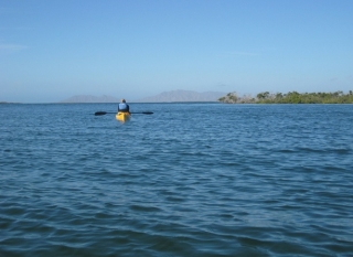 Kayals en manglaternera